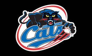 Fort Worth Cats vs Rio Grande Valley WhiteWings - ULB - Thursday