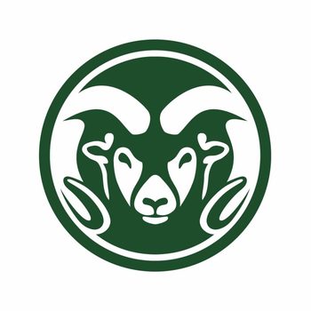Fort Collins Rams Colorado State University Rams - NCAA Football vs Air Force Falcons ...