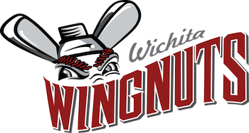 Wichita Wingnuts vs. Grand Prairie Airhogs - American Association of Independent Professional Baseball - Sunday