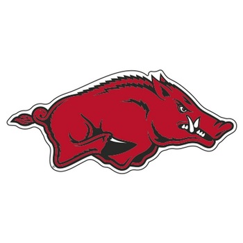 Arkansas Razorbacks - NCAA Football vs Missouri State University