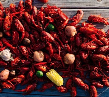 Crawfish Festival