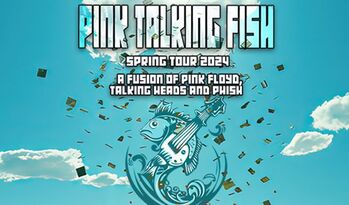 PINK TALKING FISH
