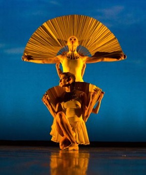 Momix Opus Cactus